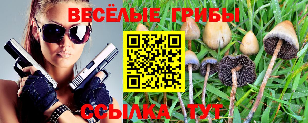 Псилоцибиновые грибы мухоморы  Вход с VPN  Воскресенск 